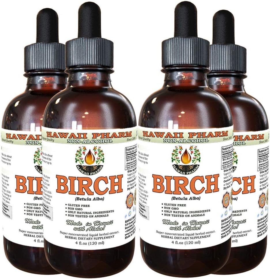 Birk alkohol-fri flytende ekstrakt, Birk (Betula Alba) Tørket Bark Glycerite Hawaii Pharm Naturlig Herbal Supplement 4x4 oz