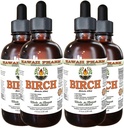 Birk alkohol-fri flytende ekstrakt, Birk (Betula Alba) Tørket Bark Glycerite Hawaii Pharm Naturlig Herbal Supplement 4x4 oz