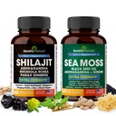 Shilajit Sea Moss Ashwagandha Combo Bundle - Svart Seed Oil, Turmeric, Rhodiola Rosea, Panax, Ginseng Supplement | 120 kapsler, bedre enn gummier, Resin | Seamoss for menn og kvinner