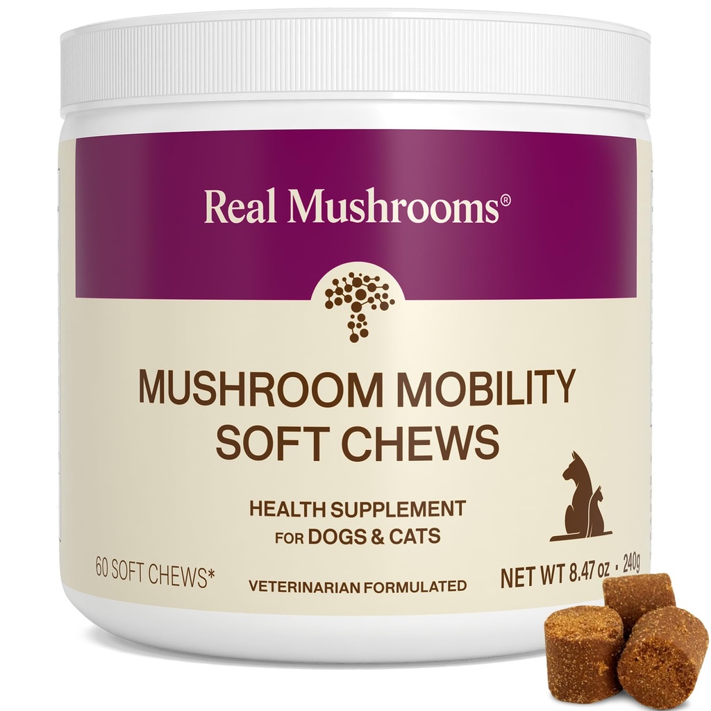 Ekte Mushrooms Mobilitet Chews for hunder og katter – Grønn Lipped Mussel & ErgoGold Mushroom Blanding – Hunde & Cat vitaminer Behandler for aktive rutiner – Felles, Hip & Fleksibilitet Support – 240 ct Supplement