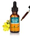 Herb Pharm Certified Organic Mullein Blend flytende ekstrakt for å puste system støtte - 1 Ounce