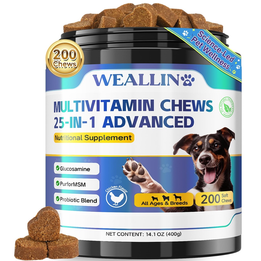 Hundevitaminer - 25-i-1 Hundevitaminer og kosttilskudd Multivitamin med glukosamin Probiotika Omega-3 Puppy Multivitamin Chewable for Coat, hjerte, HIPS & Joints, Digestion & Immune System 200pcs