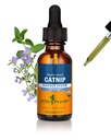 Herb Pharm Certified Organic Catnip flytende ekstrakt for beroligende nervesystem støtte, 1 Fl Oz