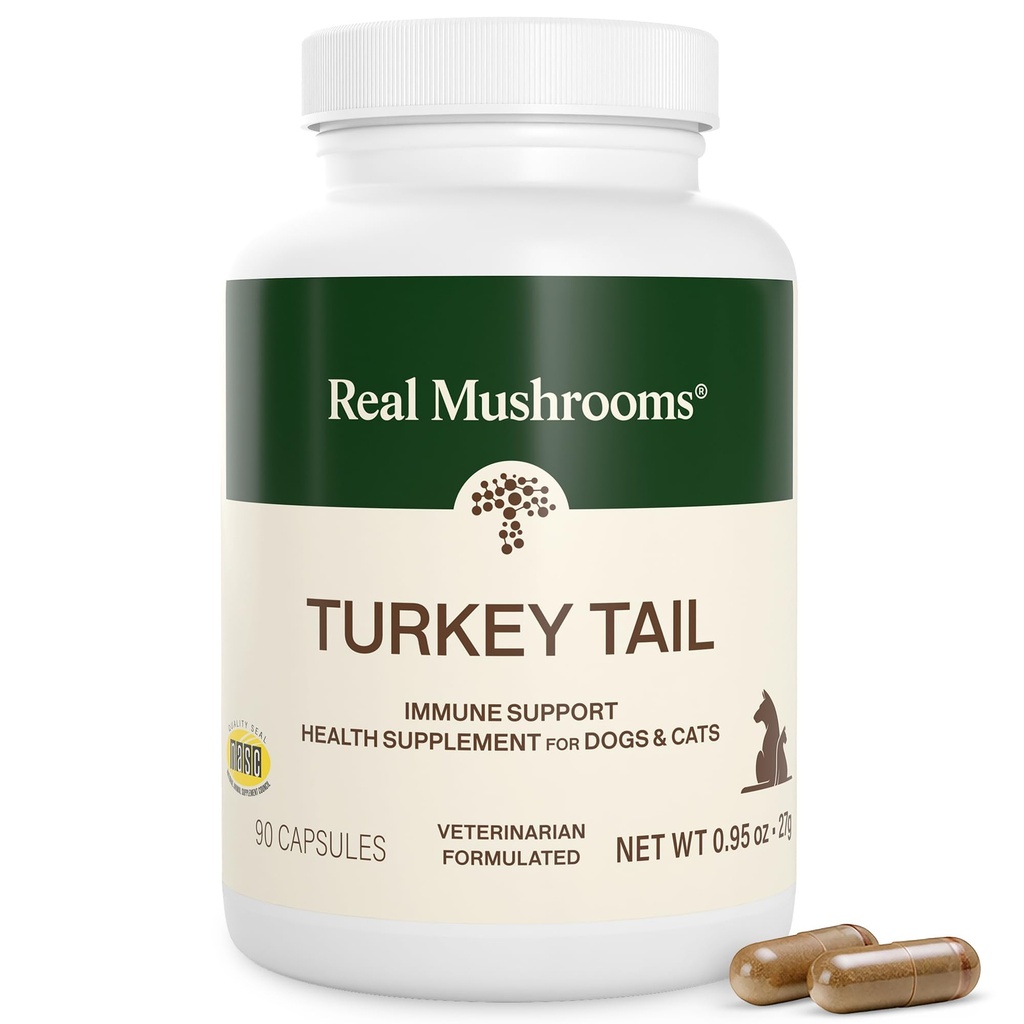 Ekte Mushrooms Tyrkia Tail Kapsler for Kjæledyr – Cat Probiotika og hund vitaminer – Organisk Mushroom Supplement for hunder og katter – støtter daglig balanse og velvære ikke-GMO, 90 ct