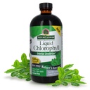 Naturens svar flytende klorofyll, 100 mg, 16 fl oz (480 ml)