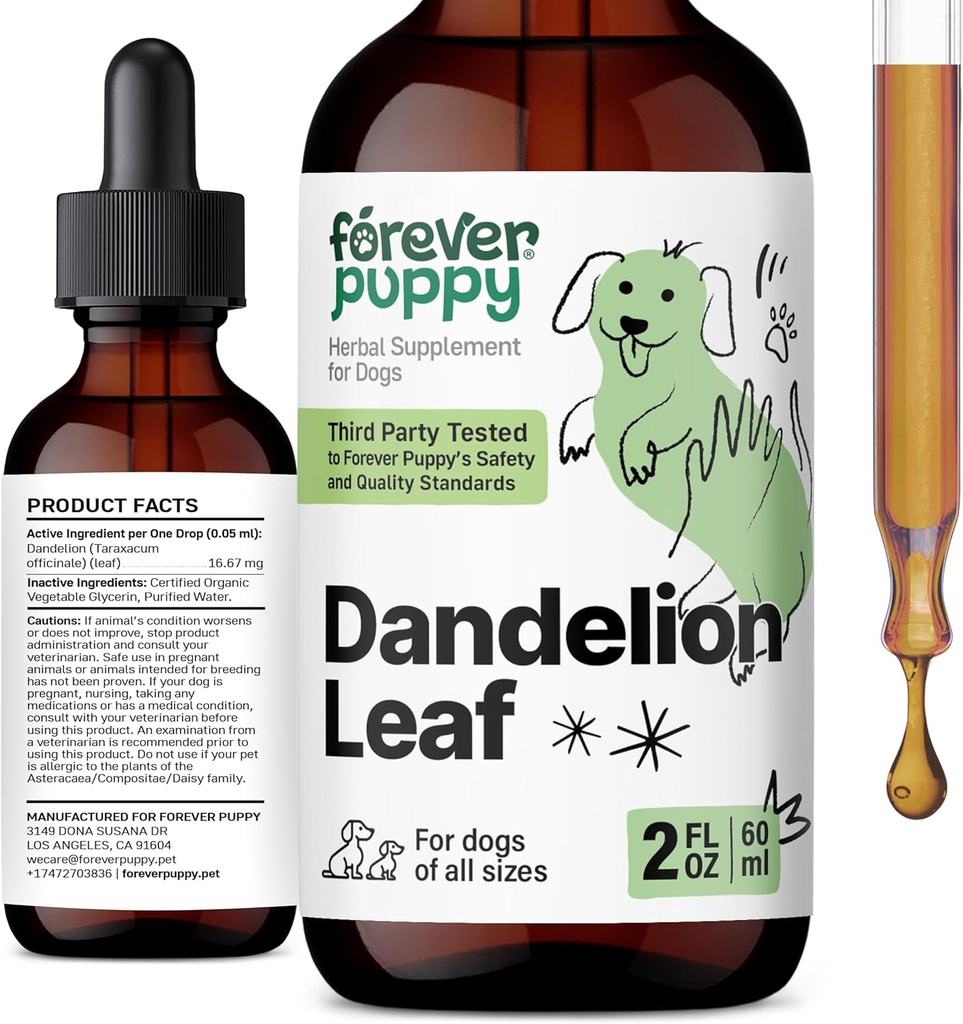 For alltid Puppy Dandelion Leaf Drops for hunder - Nyre Helsevæske Supplement for store, mellomstore og små hunder - Nyre Cleanse Detox Drops m/Dandelion Leaves Tinktur - 2 oz
