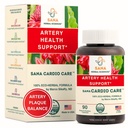Artery Plaque fjerningsformula |4-Element Alt-Naturlig Supplement for å støtte blodtrykk, sunn kolesterol, og hjerte rhythm | 90 Easy-to-Swallow kapsler | av Sana Herbal