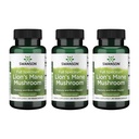 Swanson Lions Mane Mushroom - Tradisjonell Brain Booster Supplement laget av Hericium Erinaceus (60 kapsler, 500mg Hver) 3 Pakke