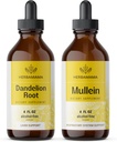 HERBAMAMA Herbal flytende dråper Kit - Bundle av Dandelion Root og Mullein Leaf Tinkture 4 fl oz - Vegansk, ikke-GMO, sukker og alkohol-fri - 2 pakke