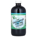 World Organics Klorofyll Supplement flytende, 100 mg, 16 Ounce, 16 Fl Oz (pakke med 1)