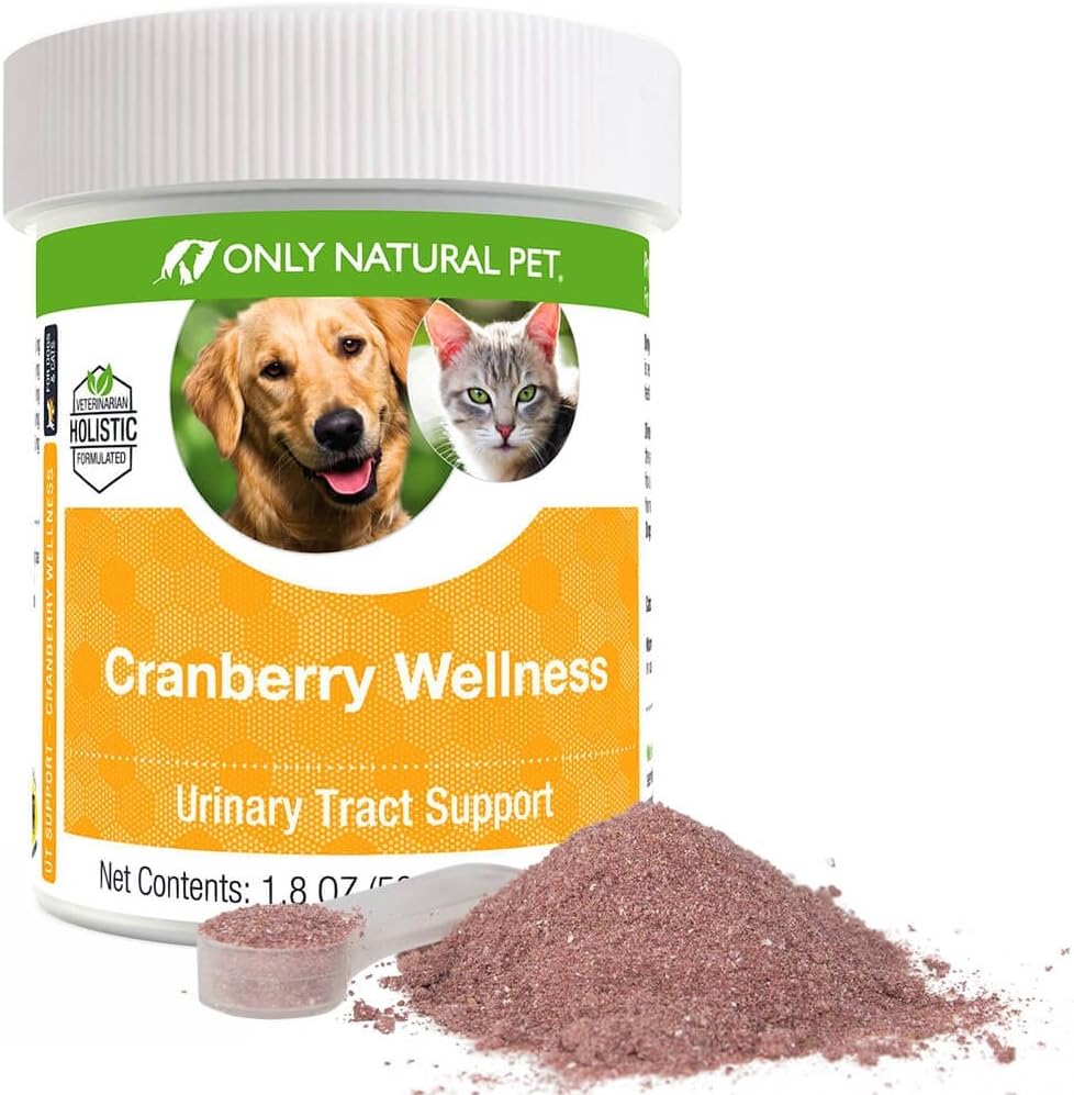 Bare naturlig kjæledyr Cranberry wellness antioksidant pulver for hunder og katter - ernæringsmessig Berry pulver Supplement for urinveistrakt helse med vitamin C - 110 serveringer