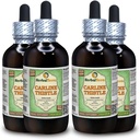 Carline Thistle (Carlina akaulis) Glyceritt, tørket rot alkohol-fri flytende ekstrakt (merkenavn: HerbalTerra, stolt laget i USA) 4x4 fl.oz (4x120 ml)