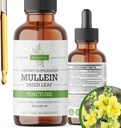 Mullein Tinktur – organiske Mullein-dråper for lungestøtte og pustende velvære – laget i USA – 2 Fl Oz