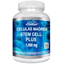 Celulas Madres 60 Kapsler Vitamisan 1000 mg Aphanizomenon Flos-aquae Blå Grønn Algae AFA Stem naturlige celle