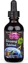 Dragon Herbs Ginseng Sublime Drops ® Alt Naturlig Ekstrakt Supplement for å støtte energi, Stress, Fokus, Hud, Endurance, Lungs, Immune Helse ® Amerikansk, Rød, og Hvit Ginseng ® 2 fl oz