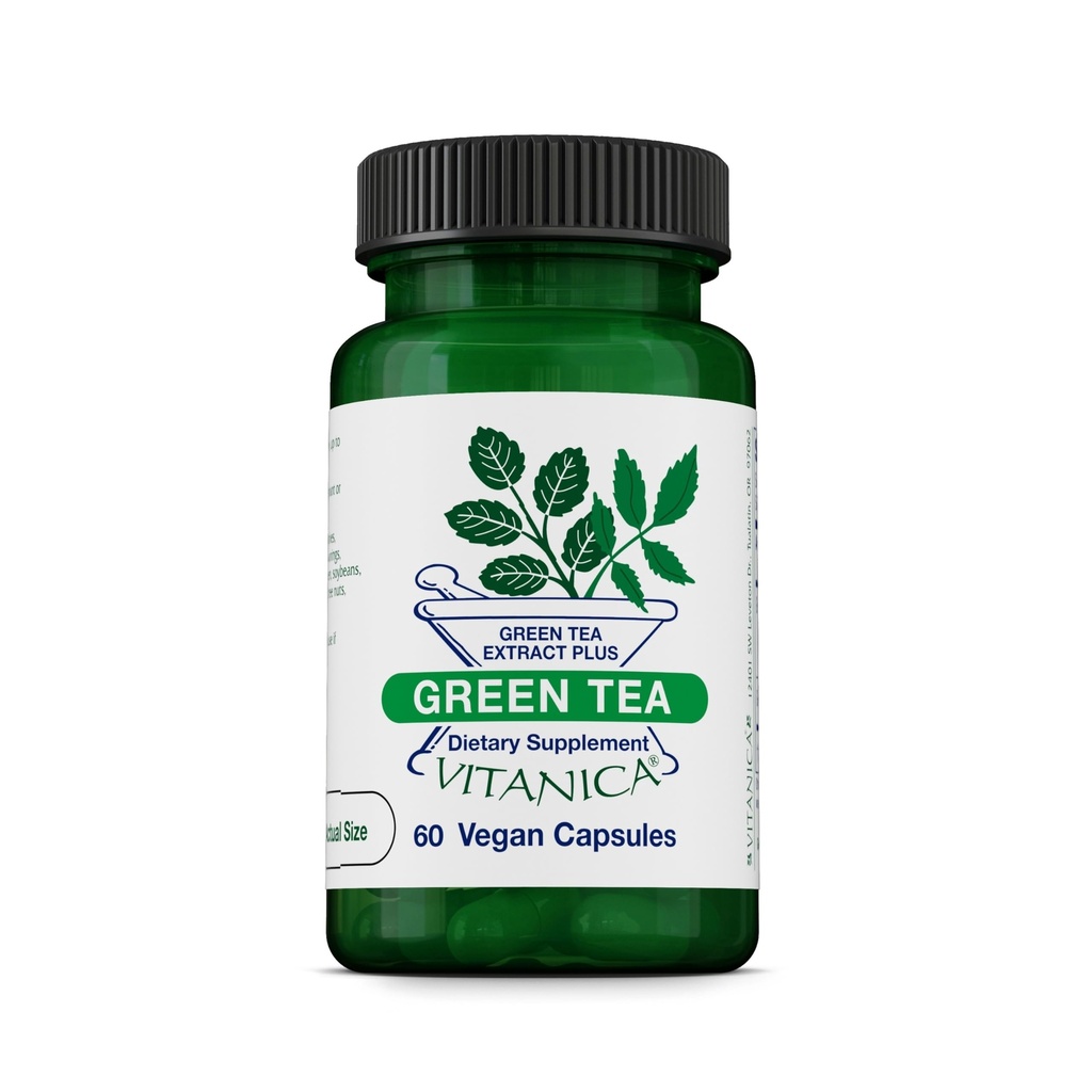 Vitanica Grønn Te - 330 mg grønn te polyfenoler - Antioksidant Supplement for immun helse støtte - Vegansk Supplement for brysthelse - Pro Logo - 60 Vegan Caps