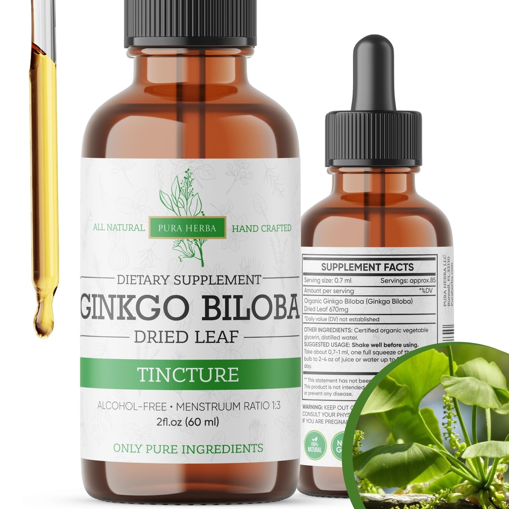 Ginkgo Biloba ekstrakt flytende 2 Fl Oz, kosttilskudd for hjernefunksjon og minne støtte, alkoholfri, vegansk - 2 Fl Oz