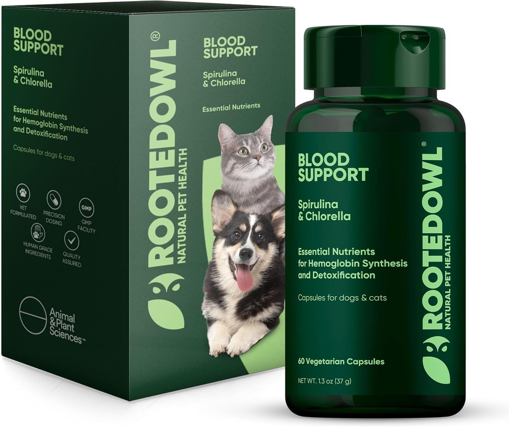 Rooted Owl Blood Support - Immunity, Recovery og jern Supplement for hunder & katter - Anemi Støtte med Spirulina og Klorella - 60 /ct Vegansk Kapsler