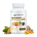 Joint Immune Support Supplement, Patentert Blend Turmeric Curcumin C3 Kompleks med svart pepper, Boswellia PS Extract & Ginger, Fast-Atferd 20 minutter, 8-Hour Untable Release, 120 Caplets - Sanjevani