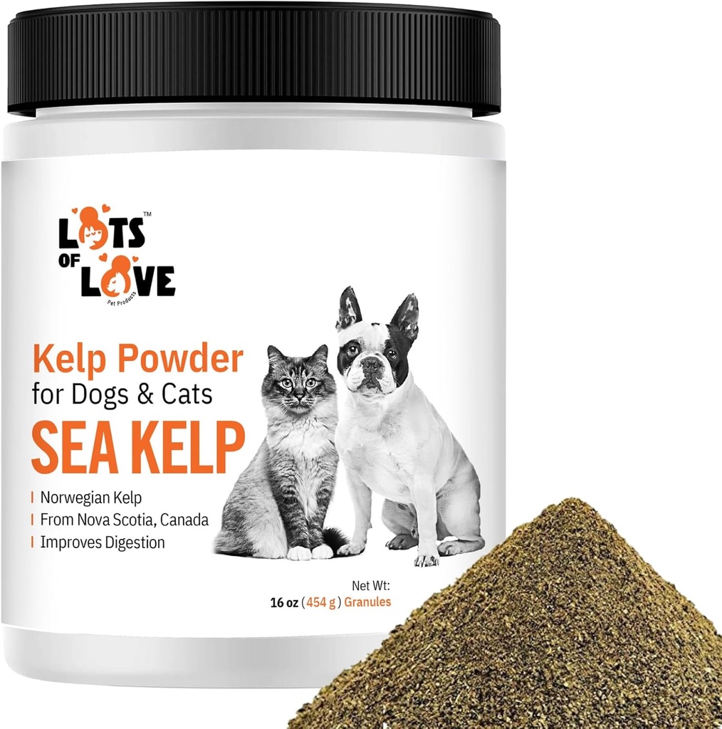 Kelp pulver for hund og katt - Økologisk sjø Kelp Supplement Granules pulver (16 Oz, 1 pund)