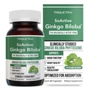 SoActive Ginkgo Biloba med GinkgoSelect® Phytosom ® klinisk studert forsterket absorpsjon for hjerne, hjerte og minnestøtte – 180 mg – bidrar til å opprettholde sirkulasjon og kognitiv helse (60 kapsler)