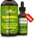 Klorofyll flytende dropper 100% organisk vegansk - energi og immunsystem Booster Supplement med Mint Flavor for vann - naturlig intern deodorant - Ekstra styrke 6000mg 120 serveringer