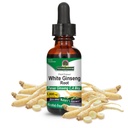 Naturens svar Hvit Ginseng Root Alcohol Gratis 1 Fluid Ounce | Immun støtte | Fremmer kognitiv funksjon | Mental klarhet og fokus