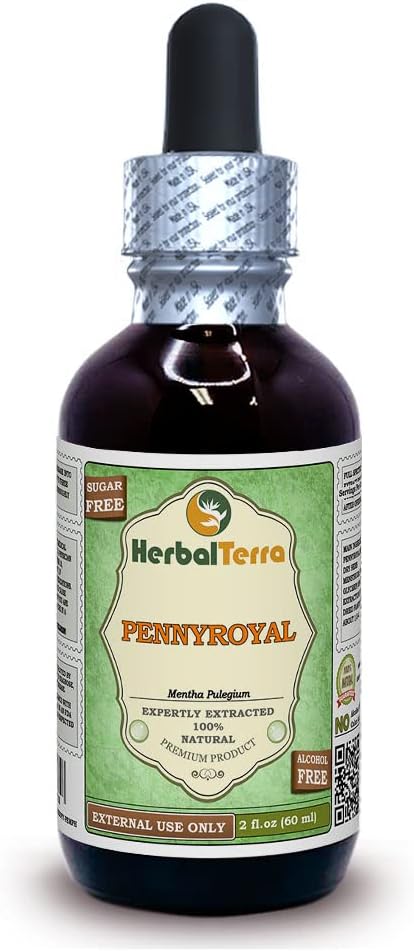 Pennyroyal (Mentha Pulegium) Glyceritt, organisk tørket urt alkohol-fri flytende ekstrakt 2 oz