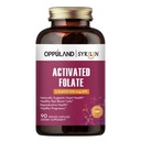 Aktivert Folate-L 5-MTHF DFE Supplement - Metylfolat B9 MTHF med vitamin B12, CoQ10, og rød bringebær - Metylert L-Metylfolat for menn og kvinner - 500 mcg - 90 Veggie Kapsler