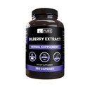 Rene originale ingredienser Bilbærekstrakt (365 kapsler) Ingen magnesium eller risfyllere, alltid ren, Lab Verifisert