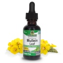 Naturens svar Mullein Herb - Mullein Leaf ekstrakt for lunger - alkoholfri, ikke GMO, laget i USA - støtter pustende funksjon og fremmer sunne lunger - Mullein Leaf 1 Ounce Extract