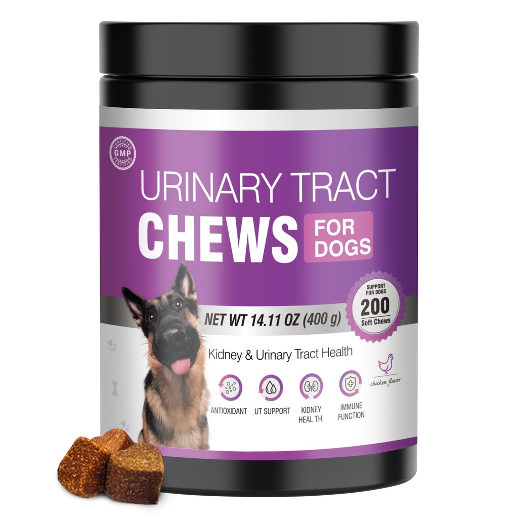 Hund UTI behandling Cranberry Supplement for hunder 200 Chews Urinal Tract Medicine Blader Control Piller Nyre Støtte Cranberrys Extract Bites Puppy UTI infeksjon behandler inkontinens Remedy for hunder