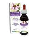 Naturalma Echinacea (Echinacea angustifolia og purpurea) Rot og urt alkoholfri tinktur - 4 fl oz flytende ekstrakt i dråper - Herbal Supplement - Vegan