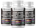 Lions Mane Supplement Kognitiv støtte, Immune Helse med Tyrkia Tail 20in1 Mushroom Reishi Cordyceps Chaga med Marshmallow Root -180 greve