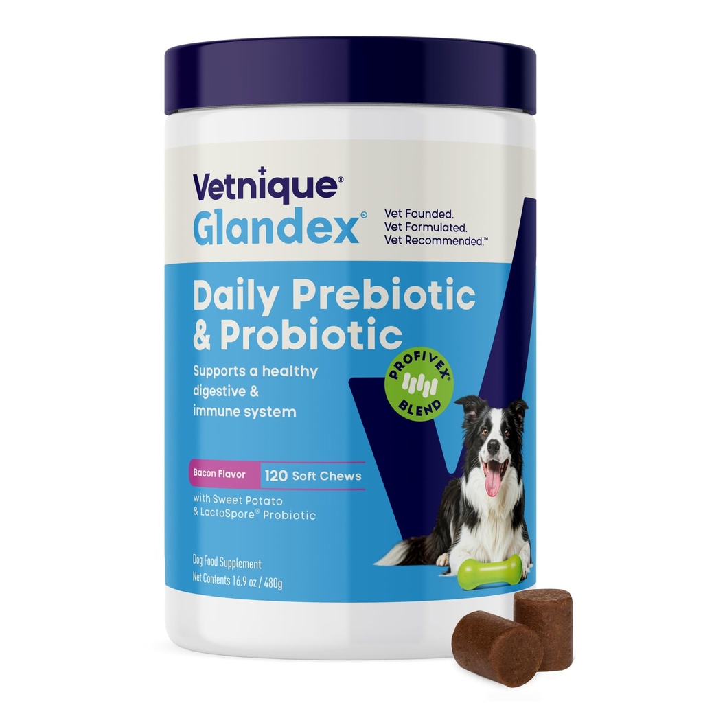 Vetnique Glandex daglig probiotika for hunder med prebiotika for å støtte gut helse med fiber og digestive enzymer, probiotiske Chews eller pulvere (120ct Chews, Bacon Chews)