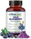 FineLand Wild Blueberry 10:1 Ekstrakt, 6.000 mg styrke, 120 veganske kapsler, rik på flavonoider og anthocyaniner, Antioksidant støtte for hjerne og hjerte helse, 4-måneders forsyning, ikke-GMO laget i USA
