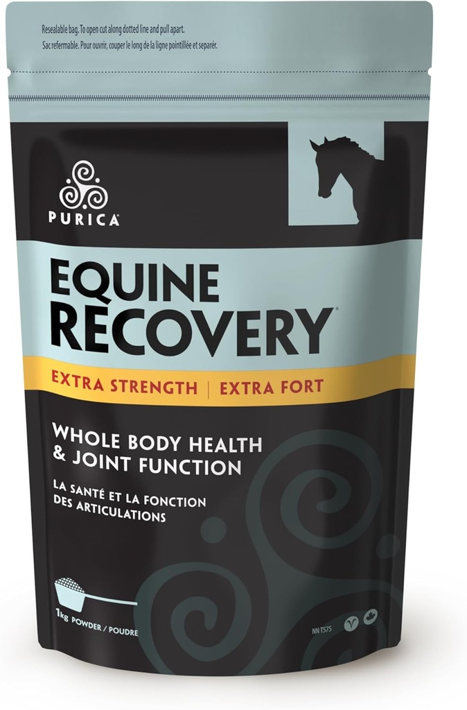 PURICA Equine Hyaluronsyre - Hest Joint Support Supplement med glukosamin, MSM pulver, Betain, Magnesium, vitamin C og E - Grønn Te og kornfrøekstrakt - Hesteforsyninger og behandlinger