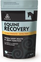PURICA Equine Hyaluronsyre - Hest Joint Support Supplement med glukosamin, MSM pulver, Betain, Magnesium, vitamin C og E - Grønn Te og kornfrøekstrakt - Hesteforsyninger og behandlinger