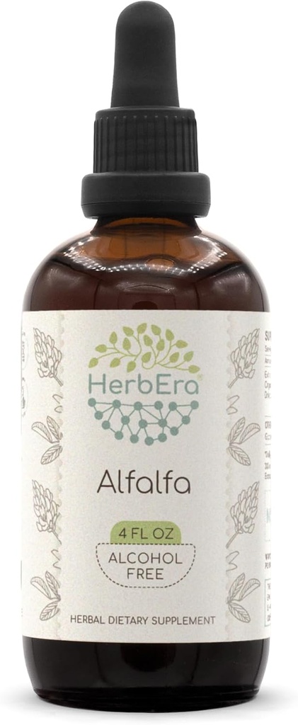 HerbEra Alfalfa B120 alkoholfri urteekstrakt Tinktur, konsentrert flytende dråper naturlig Alfalfa 4 fl oz