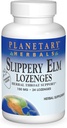 Planetary Herbals Slippery Elm Lozenges, Jordbær, 24 greve