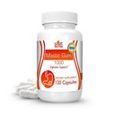 Premium Mastic Gum Capsules - Naturlig gastrointestinal støtte Supplement, 1000mg Per servering - 120 kapsler (1 flaske)