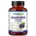 FineLand Grape Frø Ekstrakt 50:1 – 25 000 mg Ekvivalent per kapsel – 120 Vegan Capsules – rik på antioksidanter | hjerte, immun og sirkulasjonsstøtte – ikke-GMO | laget i USA