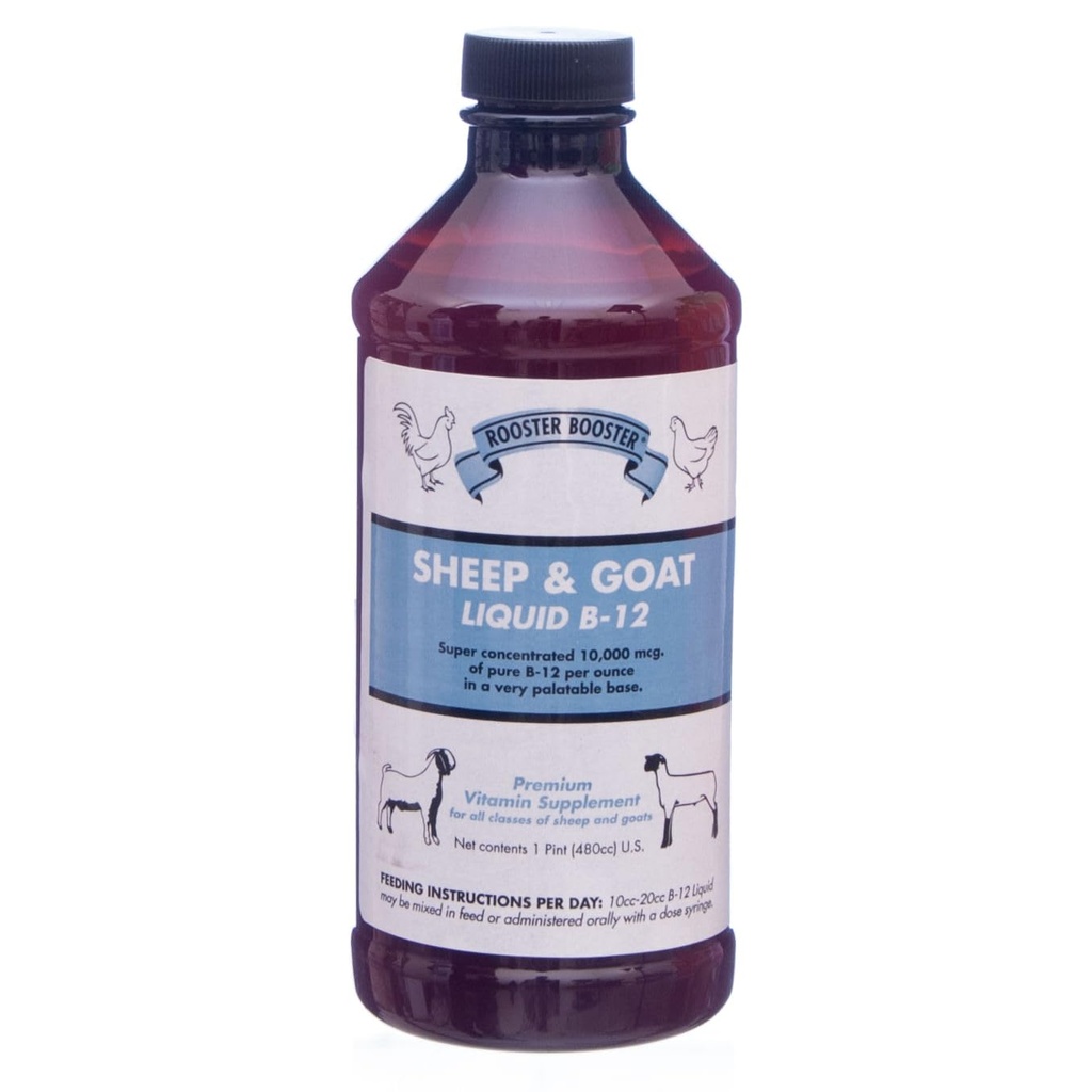 Rooster Booster B-12 Sheep og Goat Liquid, 16-Ounce