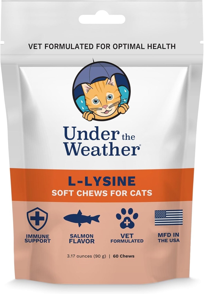 Under været Kjæledyr Daglig Cat L-Lysine | Boost Immune System Redusere luftveissymptomer | opprettholde normal immunsystemrespons | 60 stjerner formet myk Chews
