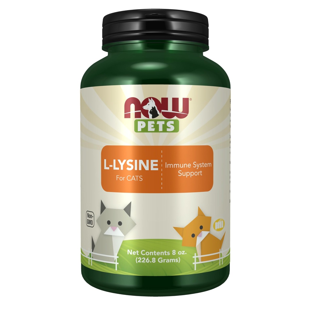 Nå Pet Health, L-Lysine Supplement, pulver, formet for katter, NASC-sertifisert, 8-Ounce