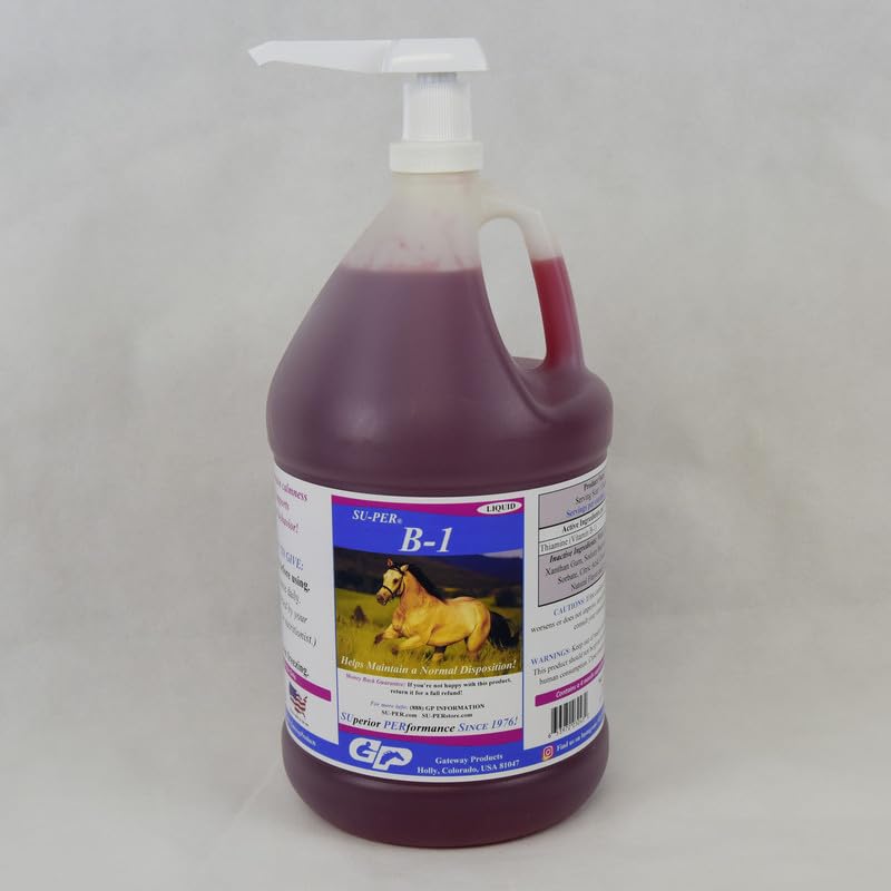 SU-PER B-1 Horse Calming Supplement - Equine Vitamin B-1 Støtte Hest Calmer Liquid - Appetite Booster Supplement for hester - 1 Gallon + Pump, 4 måneders forsyning