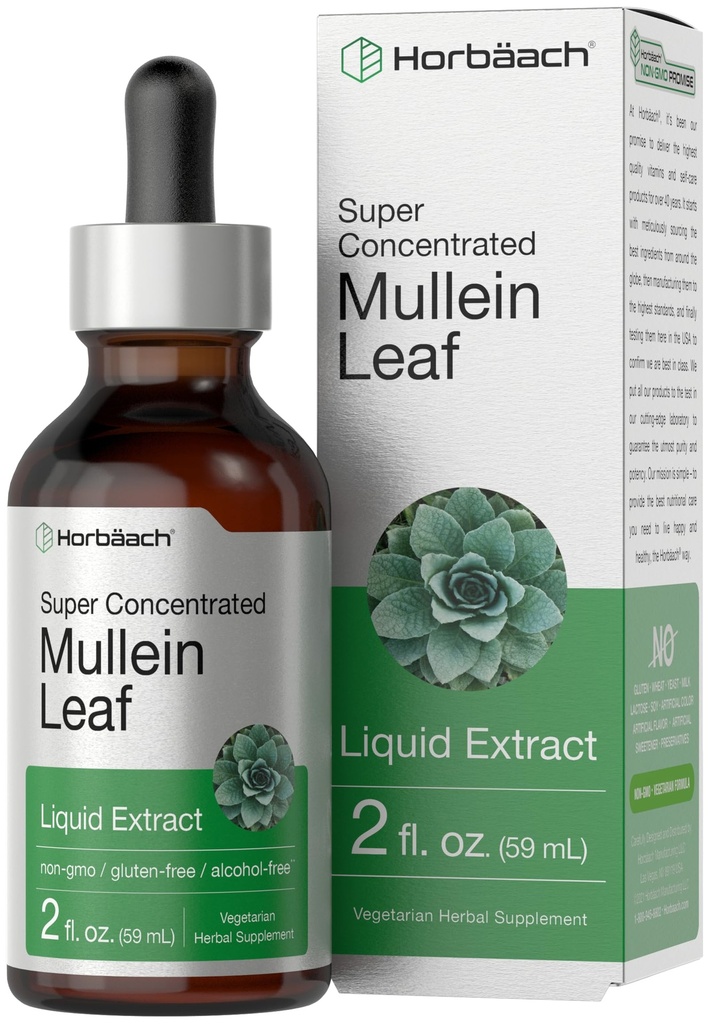 Horbäach Mullein Leaf Extract Drops | 2 fl oz | Alkoholfri flytende tinktur | Vegetarisk, ikke-GMO & Glutenfri urtetilskudd