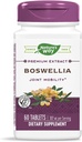 Naturens måte Standardisert Boswellia, 40% Boswellic Acids per servering, TRU-ID-sertifisert, vegetarisk, 60 tabletter, pakke med 2