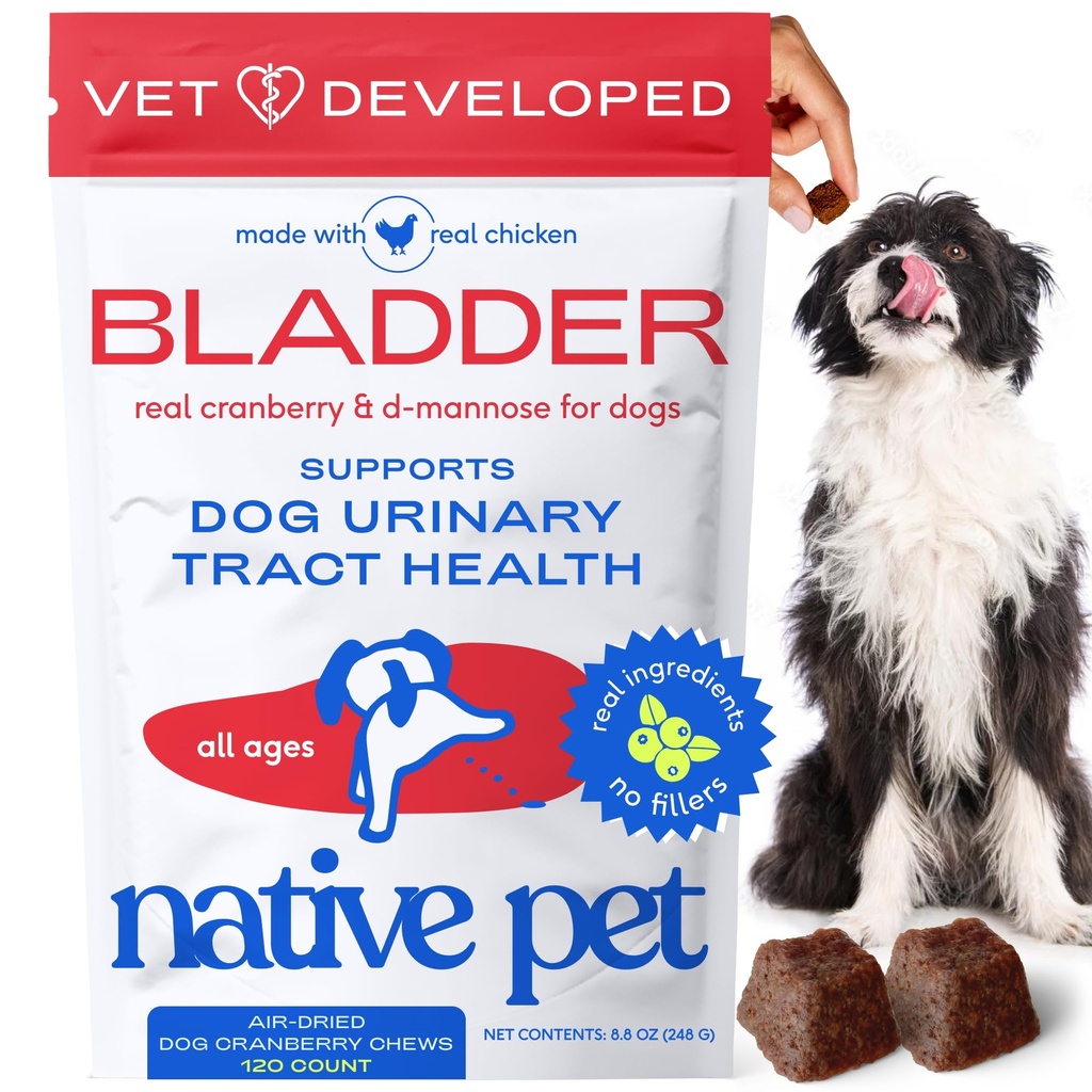 Native Pet Hund UTI behandling - Cranberry Supplement for hunder Blader Control & Njurestøtte - Forebygging av urinveistrakt infeksjon og urininkontinens - laget med ekte tranebær ekstrakt - 120 Chews