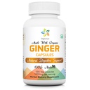 Organic Aura Ginger Capsules - 120 Veg Kapsler. 2 måneders forsyning. Selvfølgelig øker digestion, relief mage upset og forbedrer immunismen. Ingen GMO og Glutenfri.